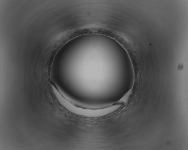 X0000094941062200712131555