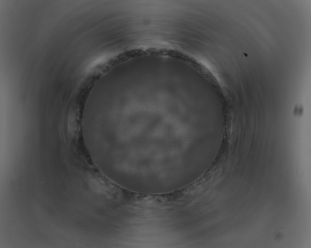 X0000094941063200712131555