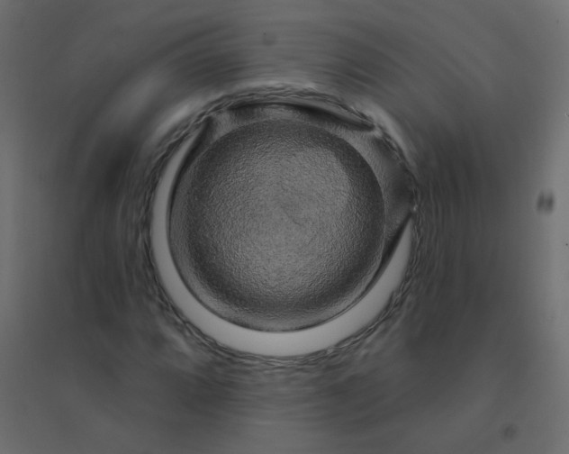 X0000094941064200712131555