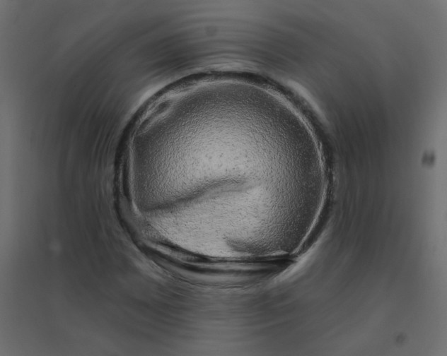 X0000094941065200712131555