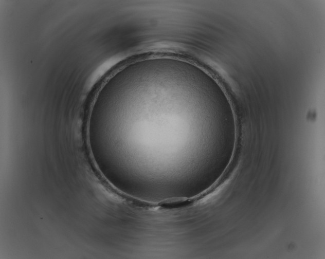 X0000094941066200712131555