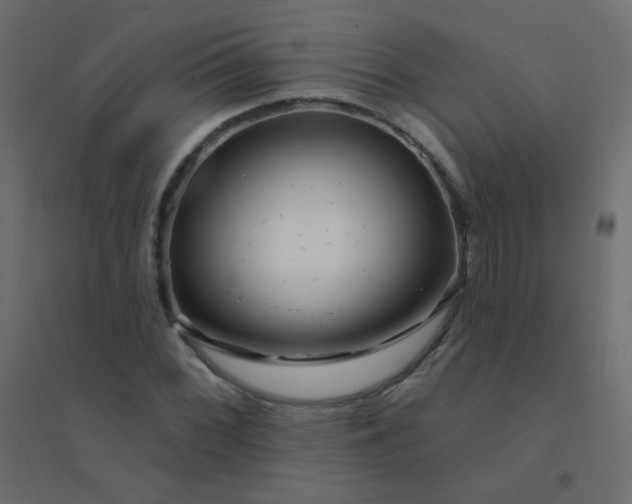 X0000094941068200712131555