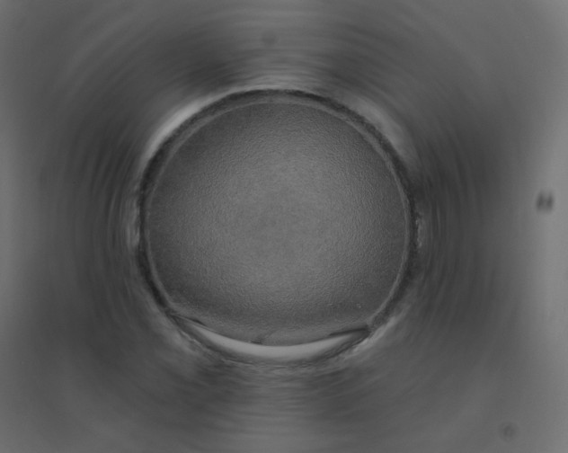 X0000094941069200712131555