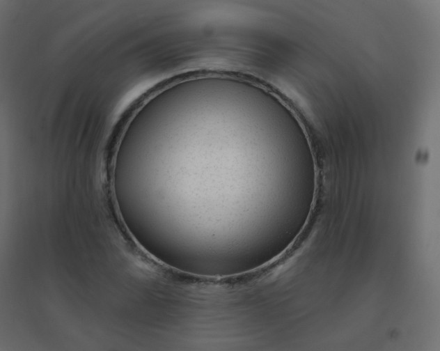 X0000094941070200712131555