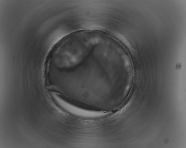 X0000094941071200712131555