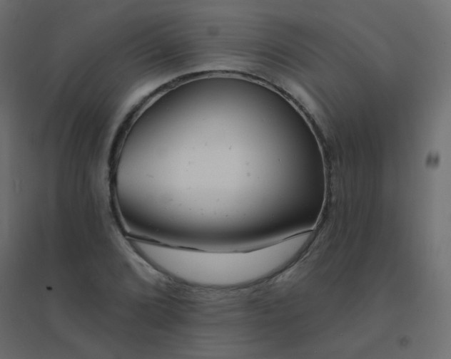 X0000094941072200712131555