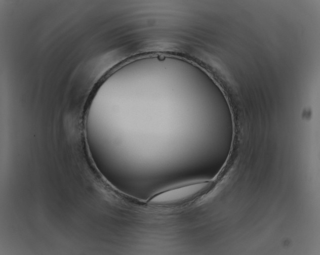 X0000094941073200712131554