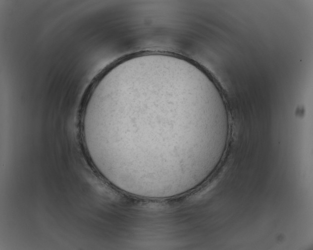 X0000094941074200712131554