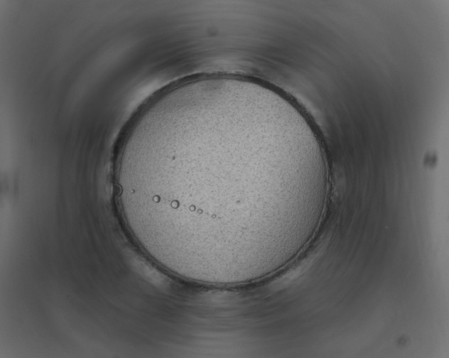 X0000094941075200712131554