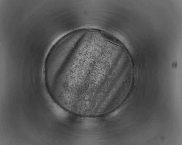 X0000094941076200712131554