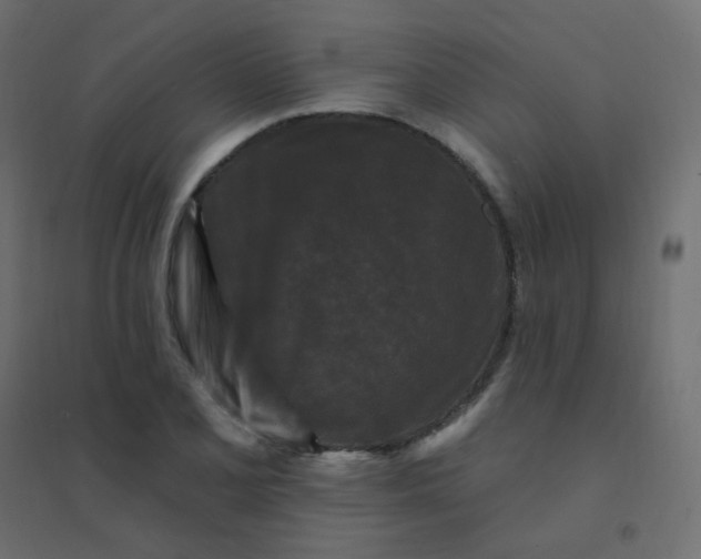 X0000094941077200712131554