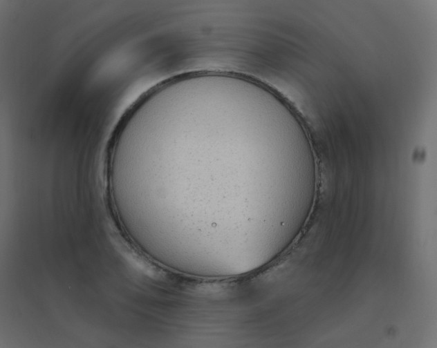 X0000094941078200712131554