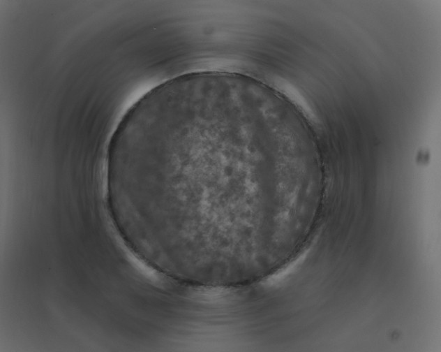 X0000094941079200712131554