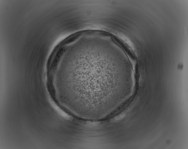 X0000094941080200712131554