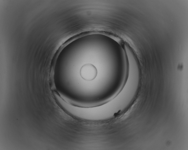 X0000094941081200712131554