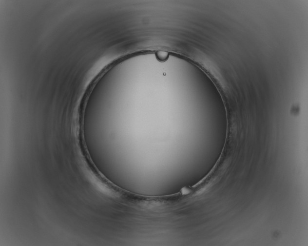 X0000094941082200712131554