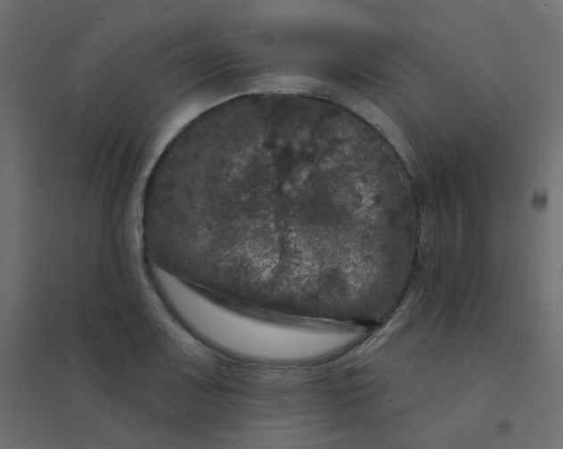 X0000094941083200712131554