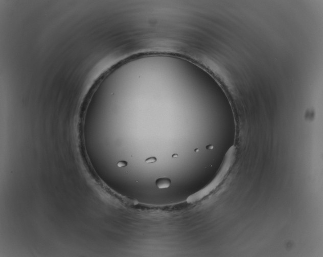 X0000094941085200712131554