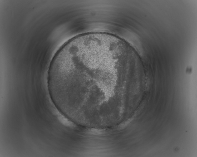 X0000094941086200712131554