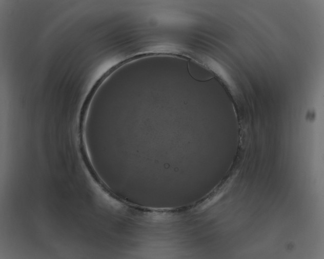 X0000094941087200712131554