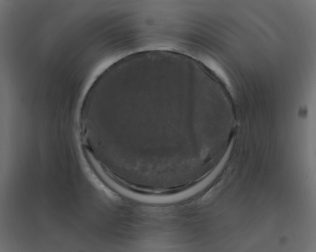 X0000094941088200712131554