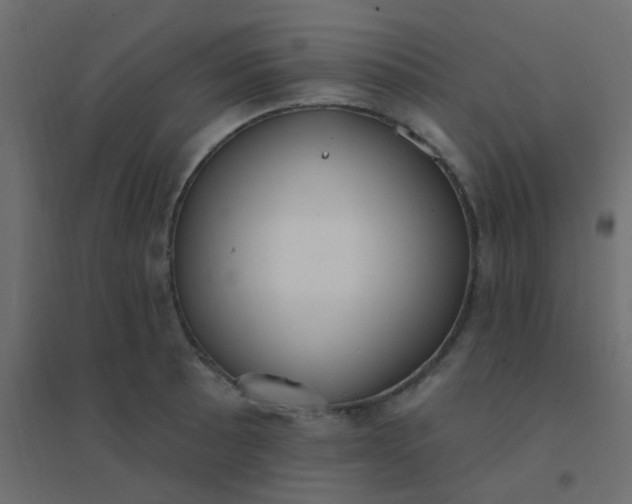 X0000094941089200712131554