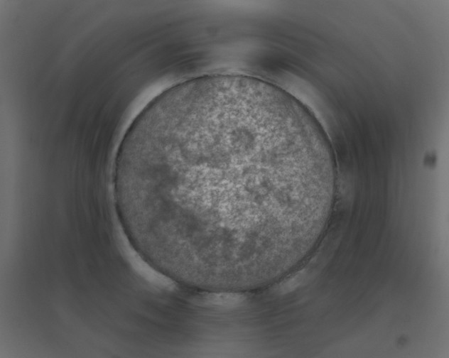 X0000094941090200712131554