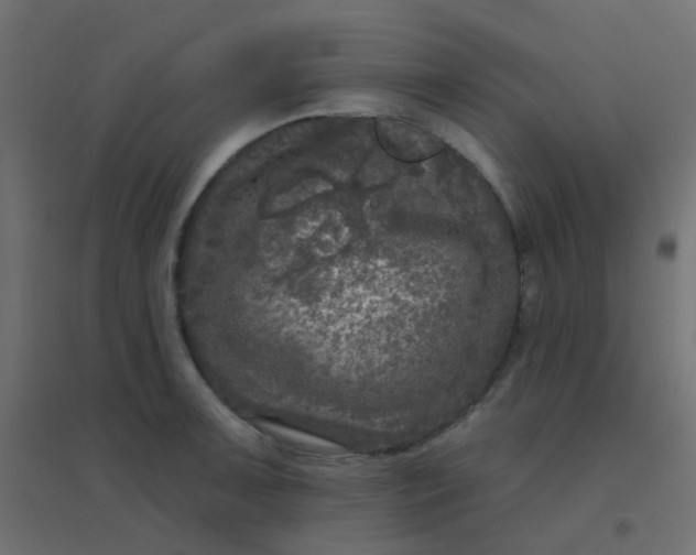 X0000094941091200712131554