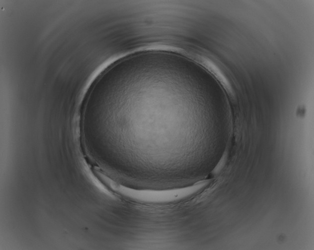 X0000094941092200712131554