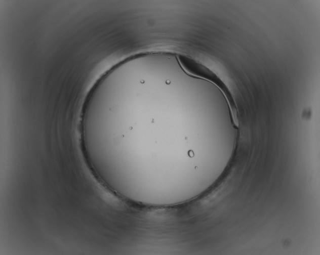 X0000094941093200712131554