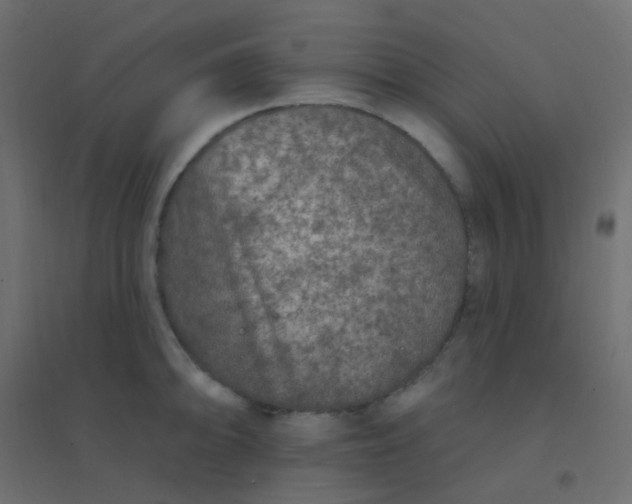 X0000094941094200712131554