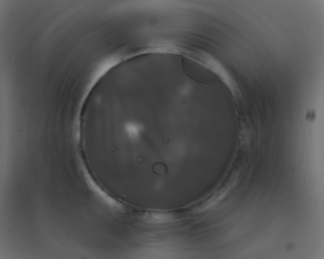 X0000094941095200712131554