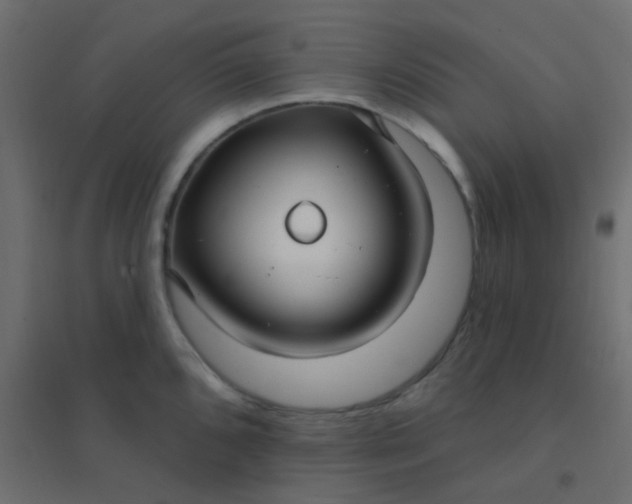 X0000094941096200712131554