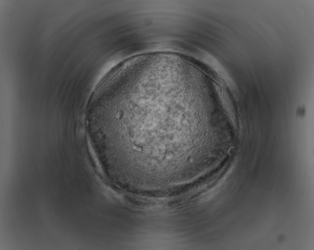 X0000094941097200712131554