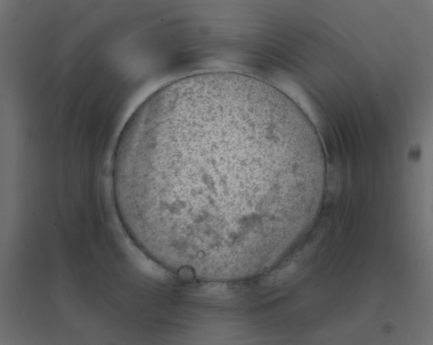 X0000094941098200712131554