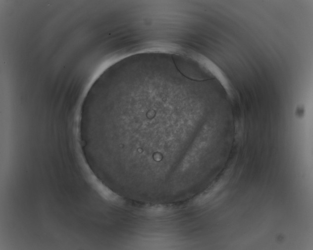 X0000094941099200712131554