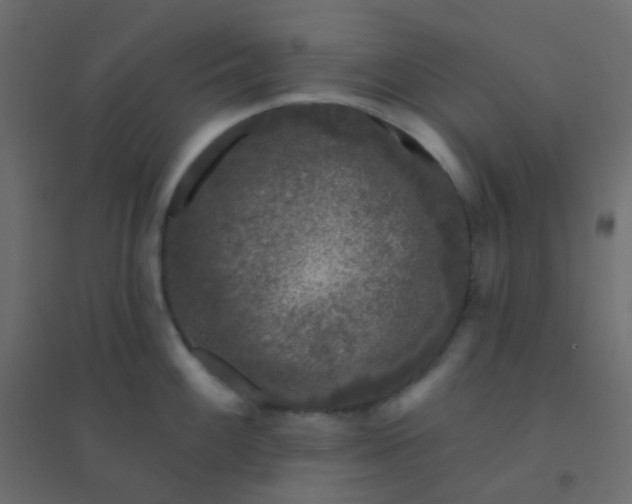 X0000094941100200712131554