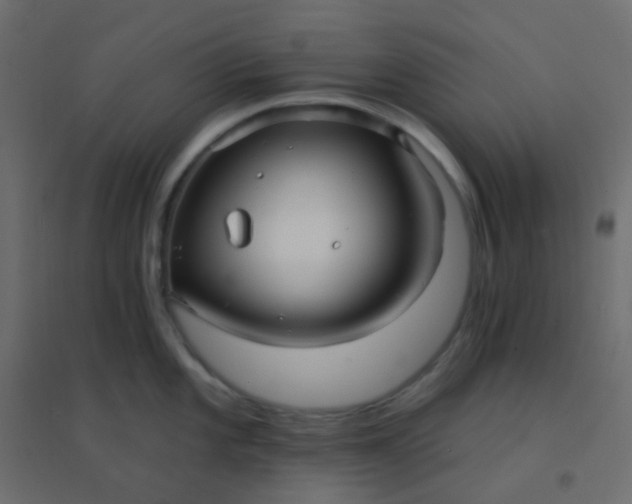 X0000094941101200712131554