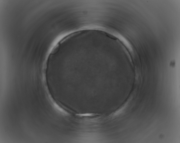 X0000094941102200712131554