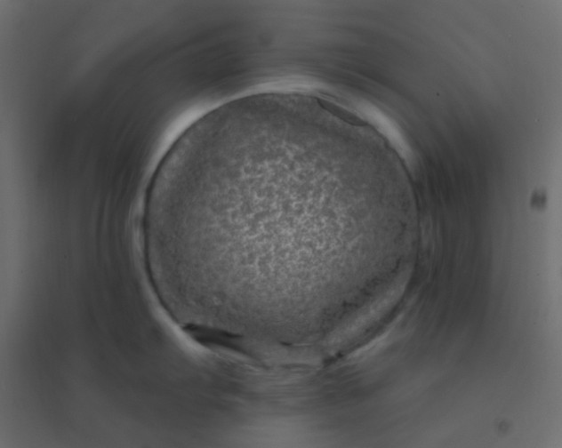 X0000094941103200712131554