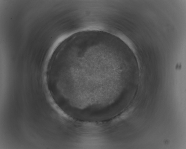 X0000094941104200712131554