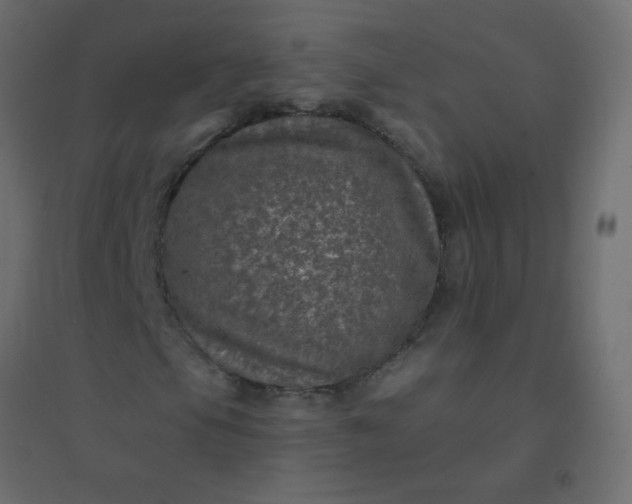 X0000094941105200712131553