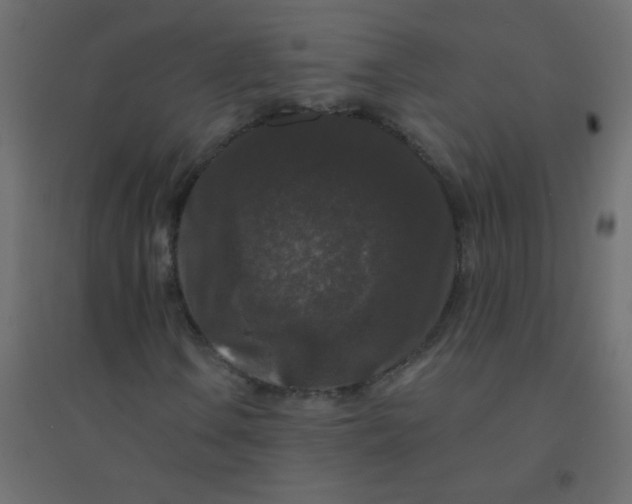 X0000094941106200712131553