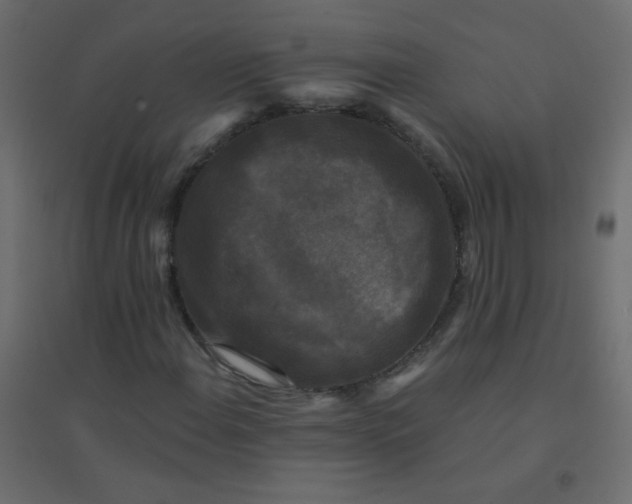 X0000094941108200712131553