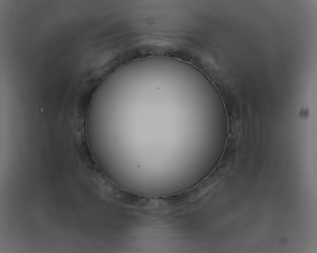 X0000094941109200712131553