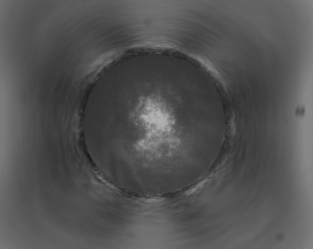 X0000094941110200712131553