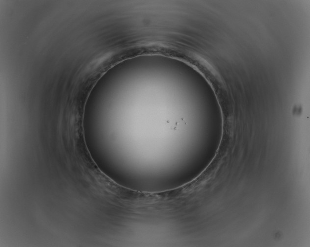 X0000094941111200712131553