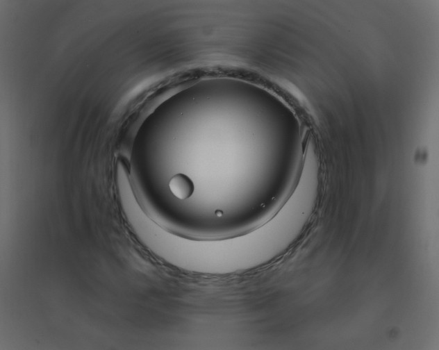 X0000094941112200712131553