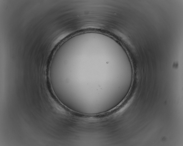 X0000094941113200712131554