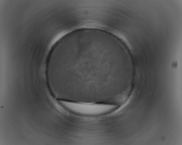 X0000094941114200712131554